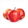 Apple Gala Premium