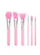 Generic 6-Piece Make-Up Brush Set - Pink/Silver
