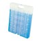 Campingaz Freez Pack M40 Ice Substitute