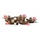 Trueval Plus Cookware Set - 9 pieces