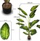 YATAI Artificial Plant 1.7 Meter High