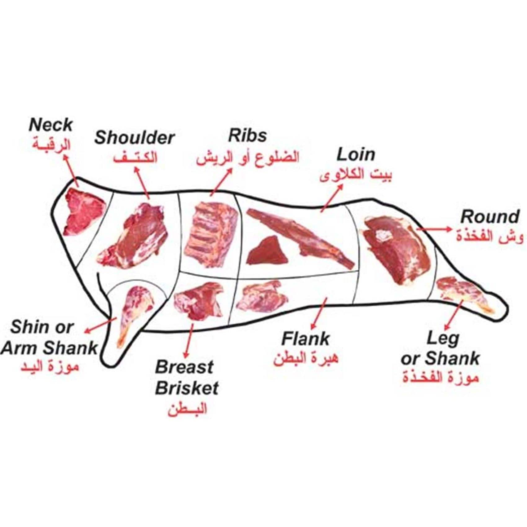 Jordan Fresh lamb product thumbnail 4