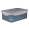 Gab Red Rectangular Food Container 2750ML