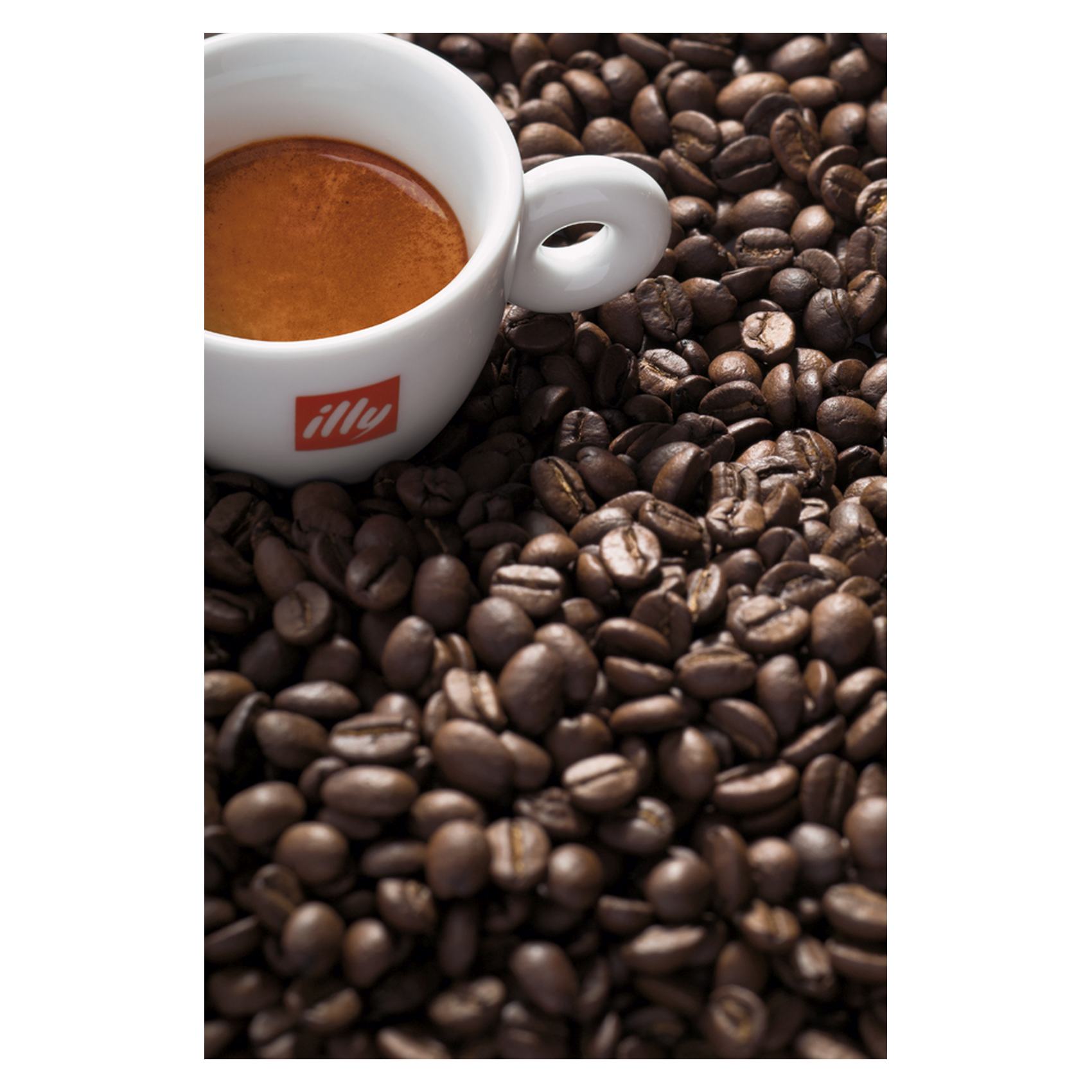 إيلي كلاسيكو حبوب قهوة محمصة بدرجة كلاسيك  250 غرام