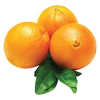 Buy Navel Orange in Saudi Arabia