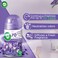 Air Wick Automatic Air Freshener Spray Kit with Gadget &amp; Refill, Lavender &amp; Chamomile Scent, 250ml