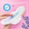 Always Always Cotton Skin Love Sanitary Pads with Natural Lavender Oil 48 Large Thick Pads