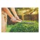 Tramontina 330 Garden Shearz 12 Inch