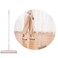 Aiwanto Wiper Floor Wiper Glass Wiper Bathroom Wiper Cleaning Wiper Brush Long Wiper Kitchen Cleaning Wiper Broom Floor Sweeper Pink