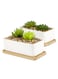 Generic 2 Pcs White Ceramic Rectangle Planter With Bamboo Tray, Planters For Succulents, Indoor Home Decor, 2 Rectangle Cactus Pot Set