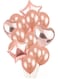Generic 14-Piece Professional Decorative Party Balloon Set