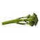 Kenya Tenderstem Broccoli Tips 120 gr