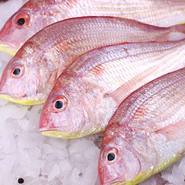 Sultan Ibrahim Fish Local