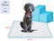 30-Pieces Packed in 3 Pouches Cherry Medical Supply 60 cm x 90 cm XL Pet Training Pads &amp; Puppy Pads