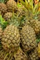 Golden Pineapples