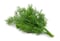 Dill Leaves - 100 gm