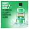 Listerine Mouthwash - Fresh Burst Taste - 250ml