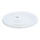 Disposable White Plastic Plates Large 12 pcs