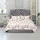 In House Oslo Velvet Bed Frame - Queen - 200x160 cm - Gray