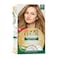Wella Kit Soft Hair Color 80 Light Blonde