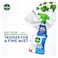 Dettol 4 in 1 Bathroom Cleaner - 500 ml