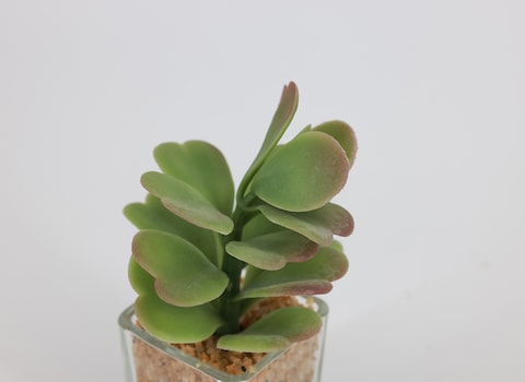Artificial succulent bonsai-Model 09