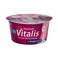 Dandy Vitalis Yoghurt Low Fat 160g