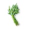 Thai Kangkung ( Water Spinach) 250gr
