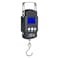 Generic-Pocket Scale Backlit LCD Screen Weighing Scale Portable Electronic Balance Digital Fish Hook Hanging Scale Fishing Scale with Measuring Tape Ruler Mini Luggage Scale for Fishing Postal Kitchen