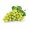 Grapes White