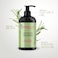 Mielle Organics Rosemary Mint Strengthening Shampoo Infused With Biotin, Cleanses And Helps Strengthen Weak And Brittle Hair, 12 Ounces