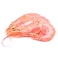 Emirates Frozen Shrimp - 30-40