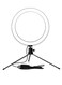 Generic Table LED Ring Light With Tripod Stand Black/White