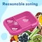 Eazy Kids 4 Compartment Bento Lunch Box - Mat Pink