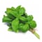 Basil Bunch