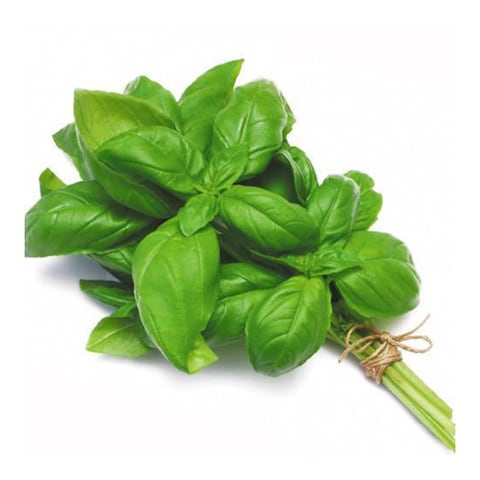 Basil Bunch