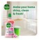 Dettol Antibacterial Power Multi Purpose Rose Floor Cleaner 900ML X Pack Of 1 + 1 Free