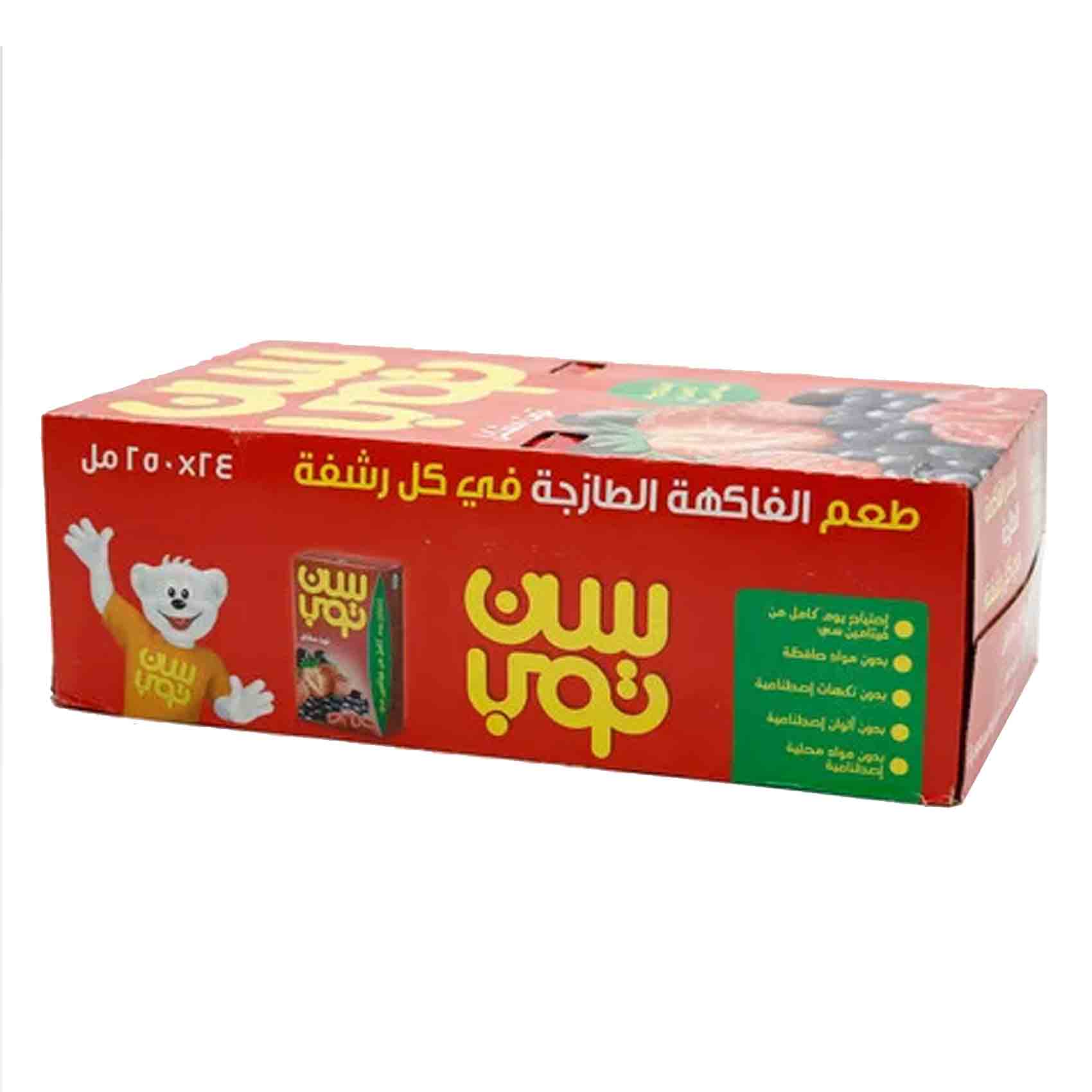 Sun Top Juice Berry Mix Flavor 250 Ml 24 Pieces product thumbnail 2