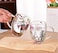 1CHASE Borosilicate Double Wall Flower Glass Coffee Cups With Handle 350ml (Set Of 2)