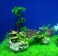 Doreen Pavilion Tree Fish Tank Decoration Aquarium Ornament Poly Resin Bridge（GC1855A）