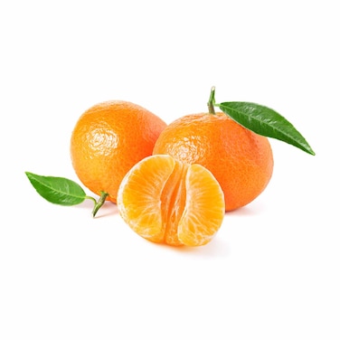 Moroccan Clementine
