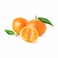 Moroccan Clementine