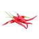 Thai Red Chillies 125g