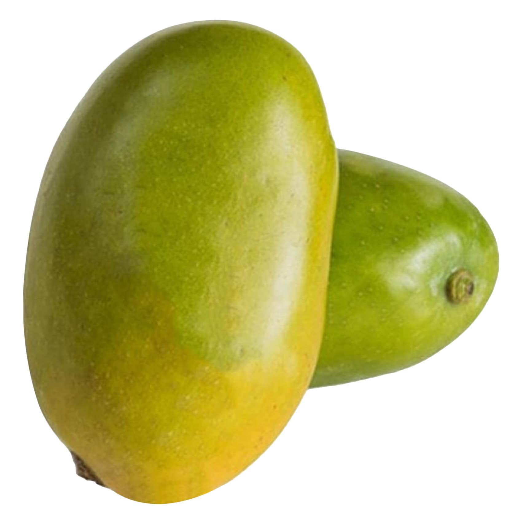 مانجو زبدة