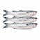 Mullet Fish - Medium