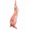 Pakistan Goat Carcass