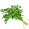 Premium Parsley 200g
