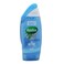 RADOX SHOWER GEL FEEL ACTIVE 250ML