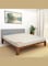 Ortho Plus Medical Rebonded Foam Mattress (Extra Firm Feel) Reversible Mattress   5 Years Warranty 190x90x284 cm