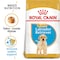 Breed Health Nutrition Labrador Puppy 12 KG